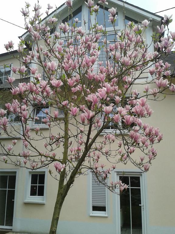 Apartment Schneemann Valwig